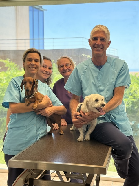 L'équipe vétérinaire réunie avec deux chiens dans la clinique